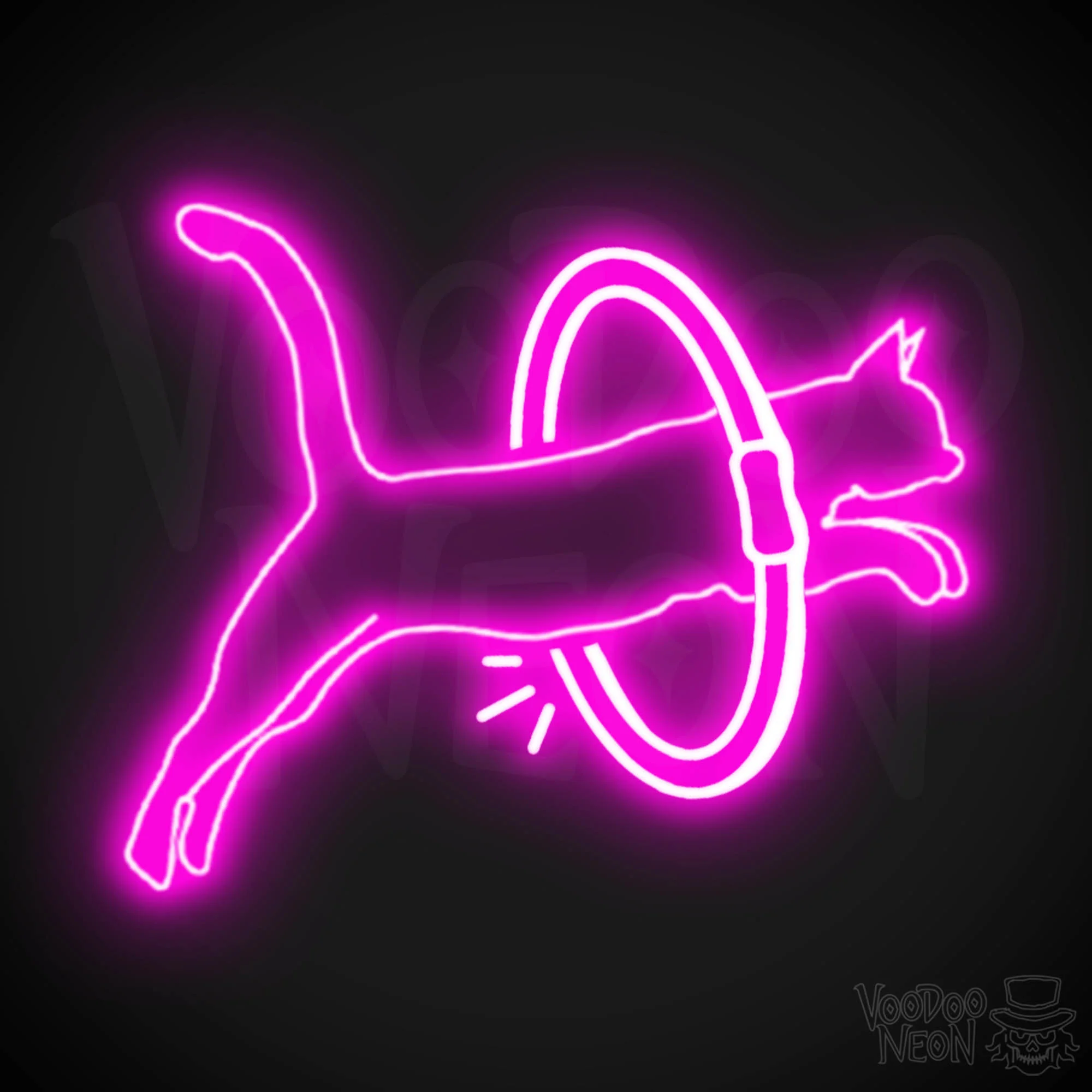 Cat Jumping - Image 8