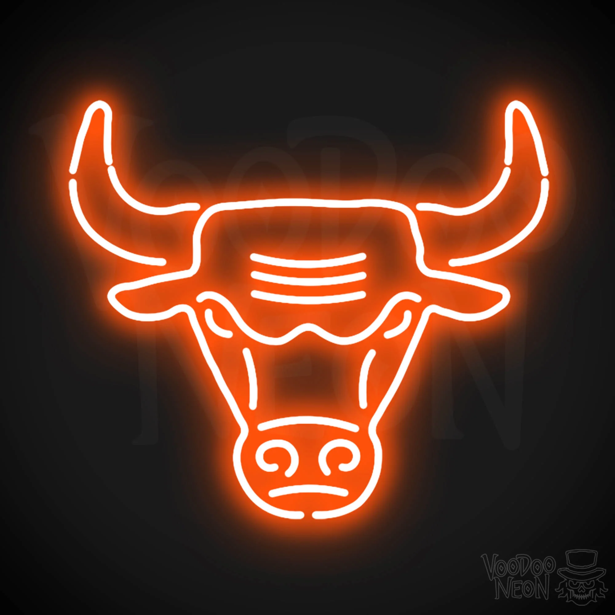 Chicago Bulls - Image 5