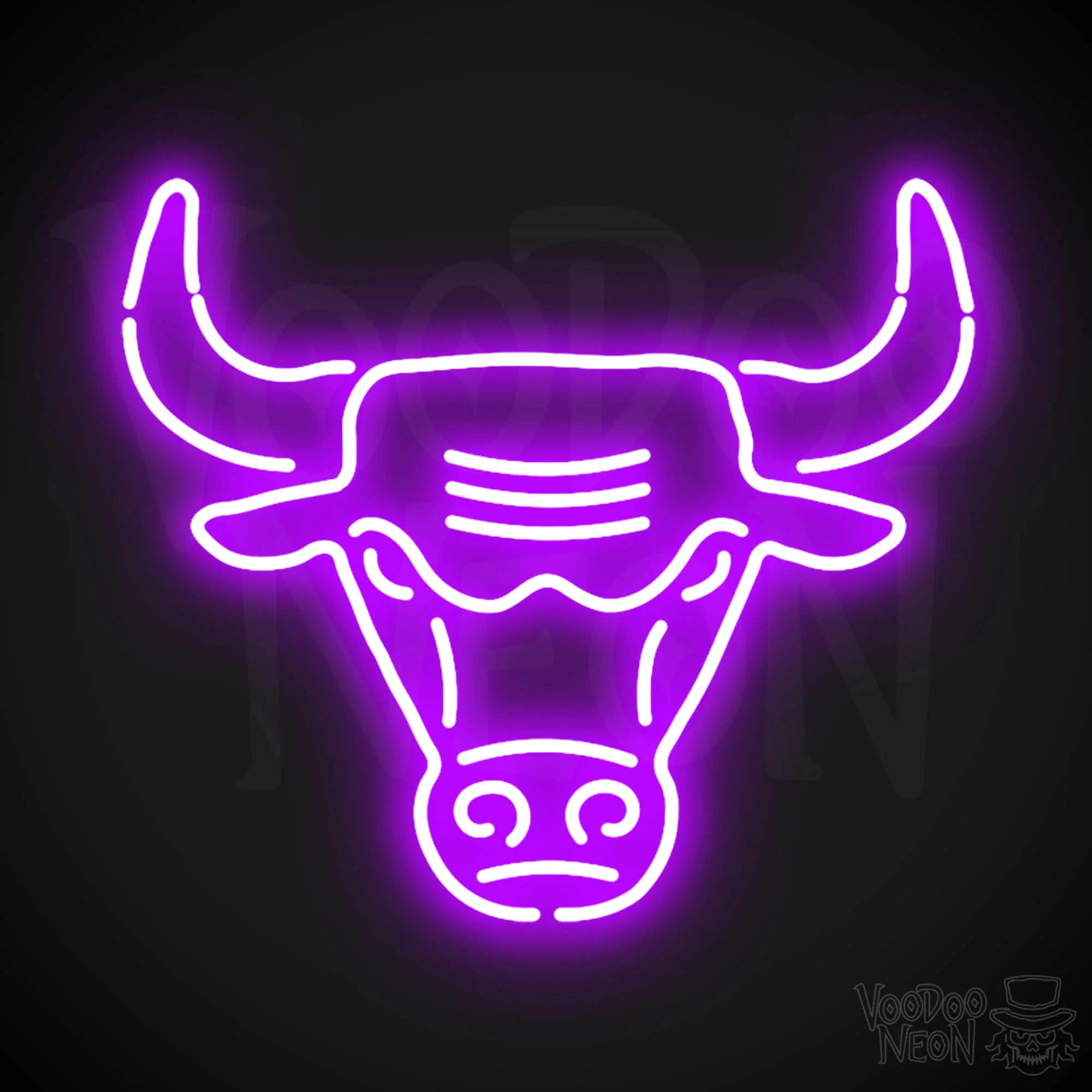 Chicago Bulls - Image 9