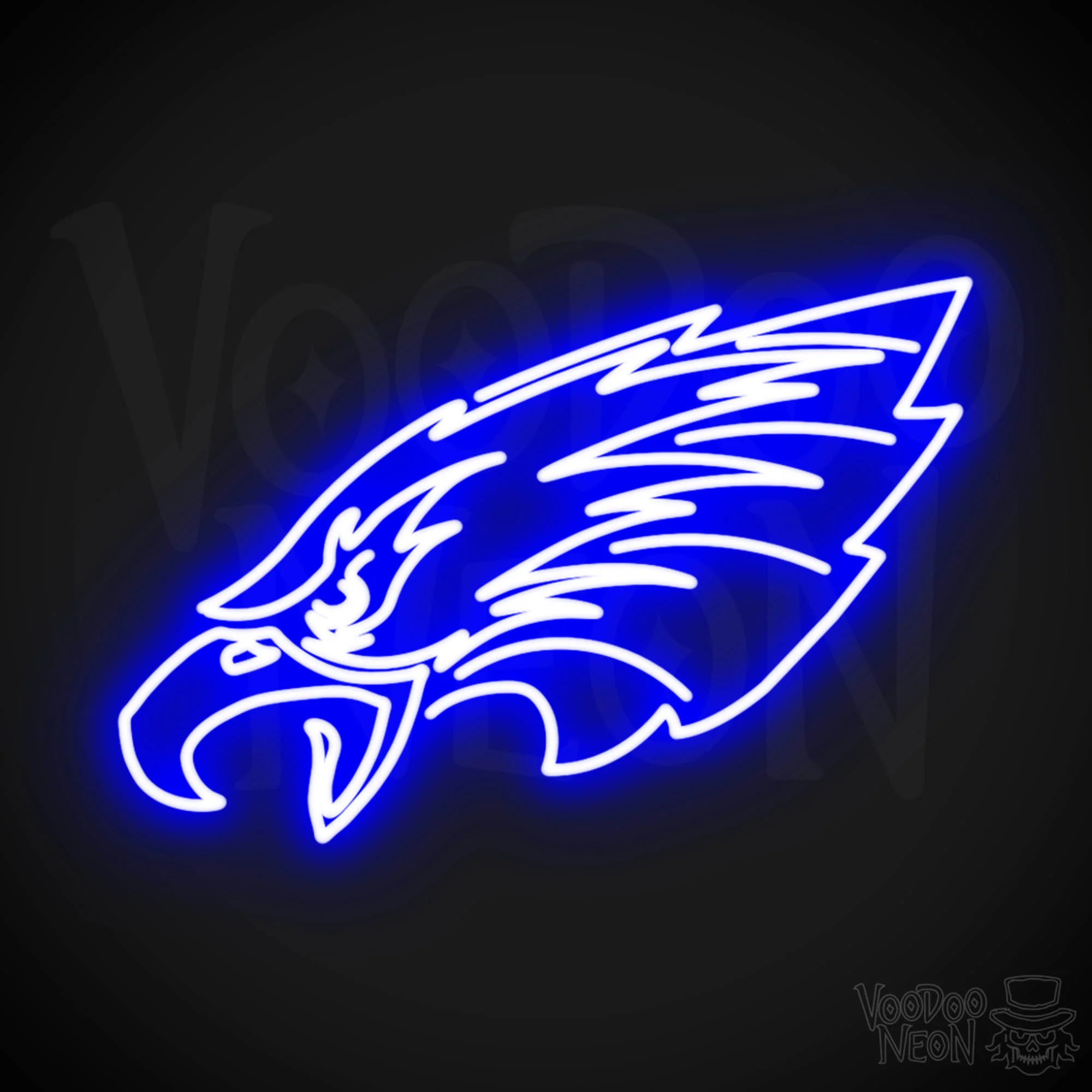 Philadelphia Eagles - Image 11