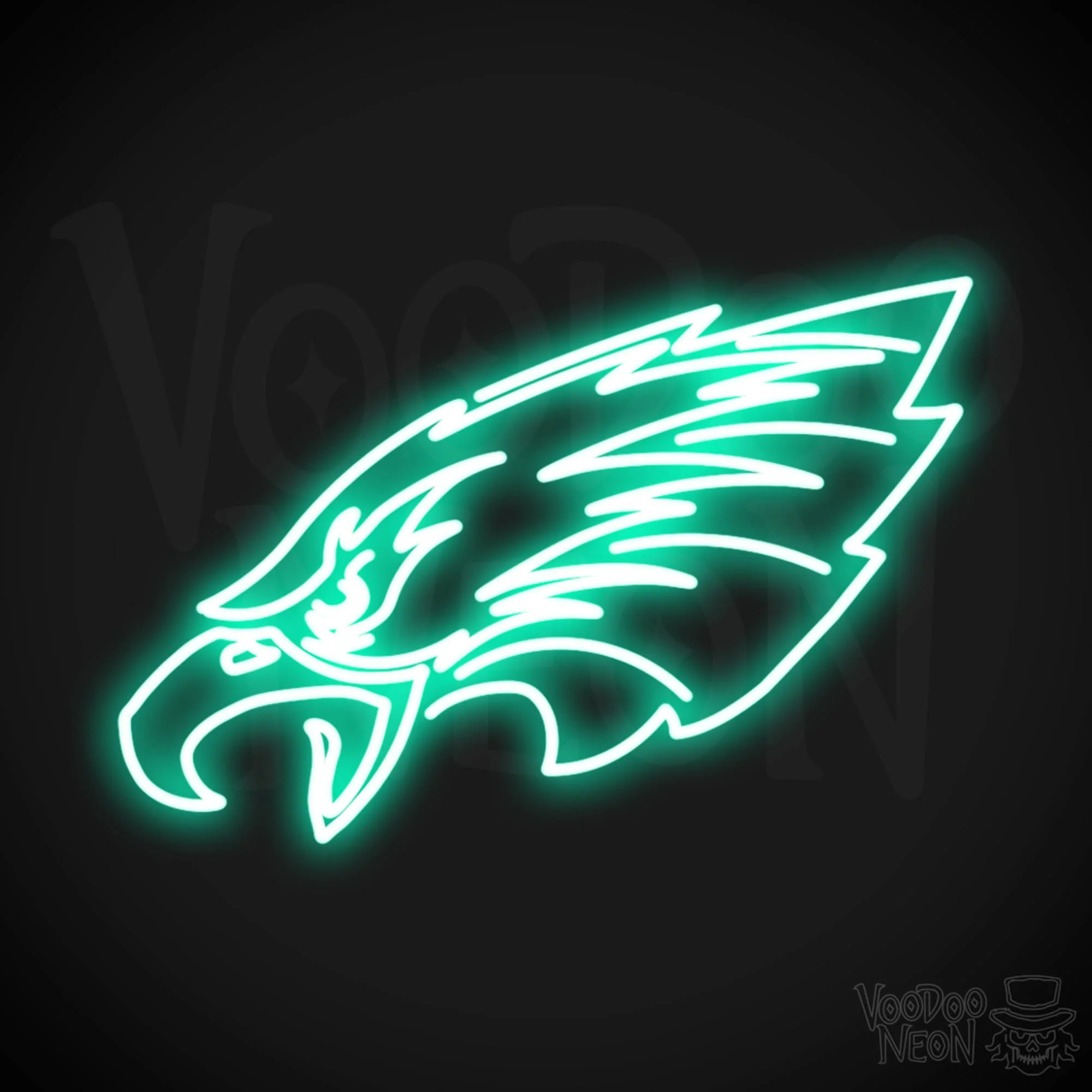 Philadelphia Eagles - Image 12