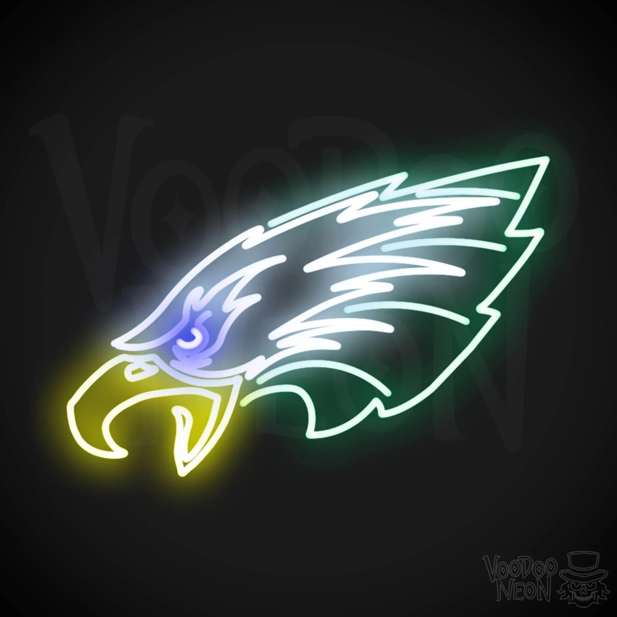 Philadelphia Eagles - Image 14
