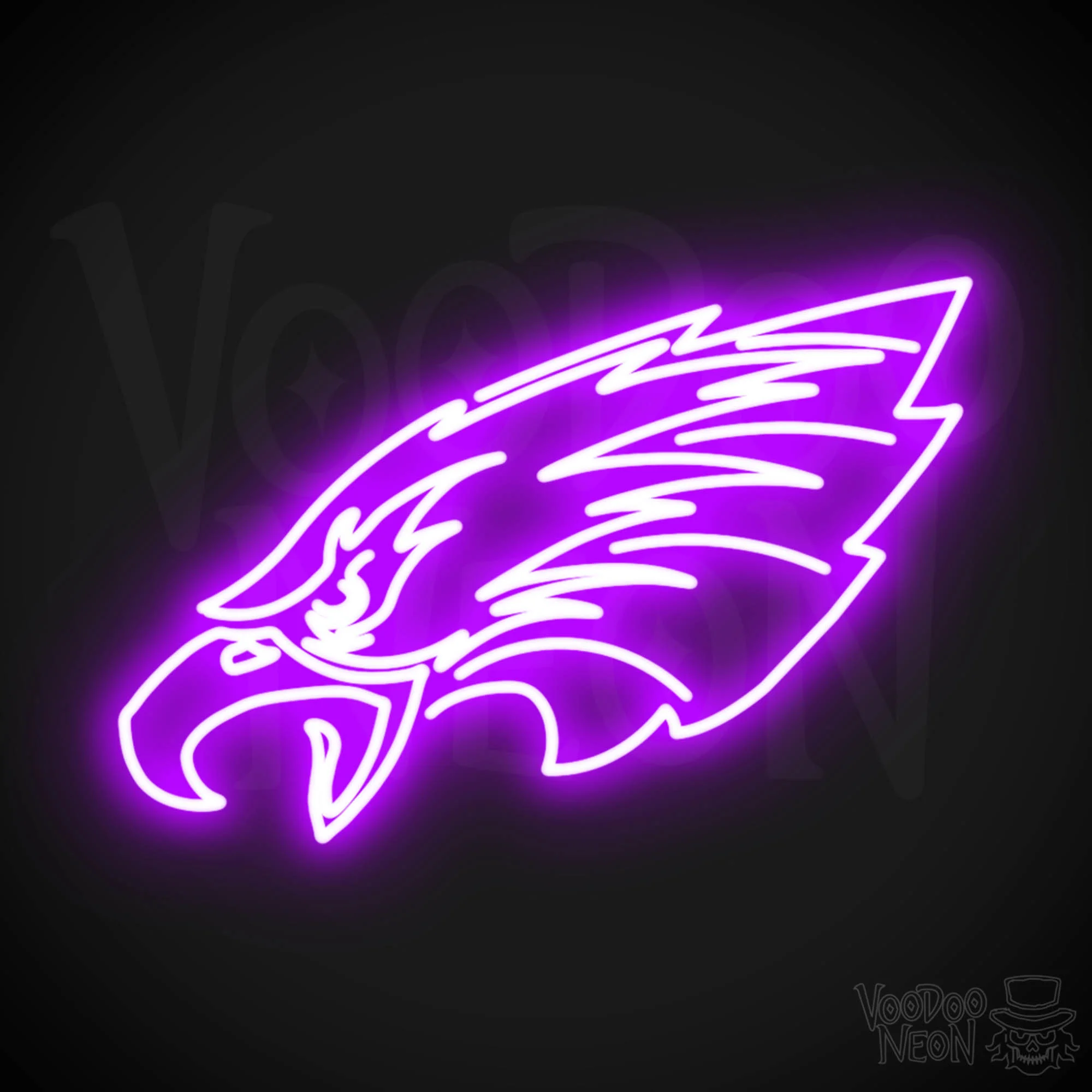 Philadelphia Eagles - Image 9